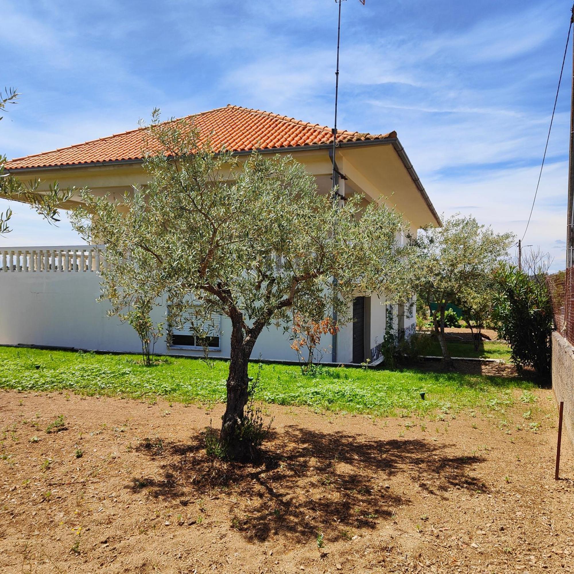 Villa Mendes Oliva 阿尔梅达 外观 照片